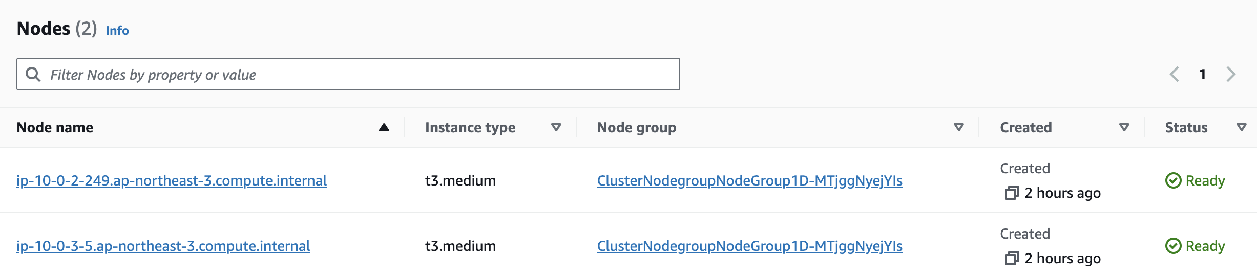 Nodes section on the Compute tab in the console