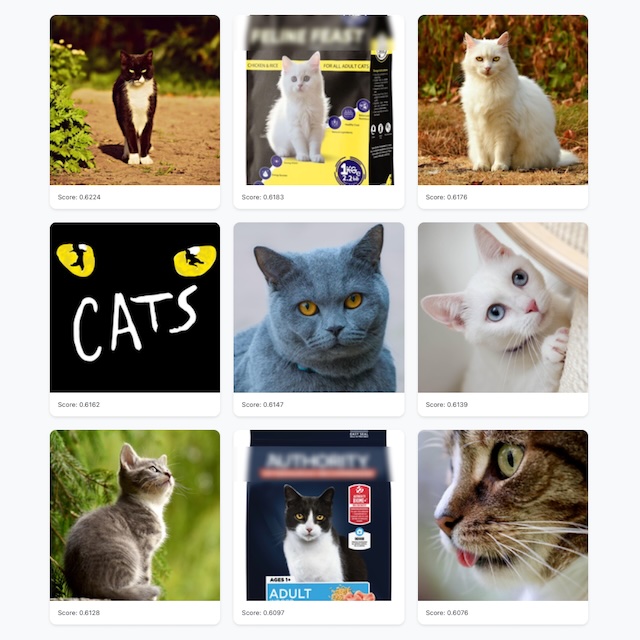 Initial result
